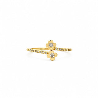 Anillos